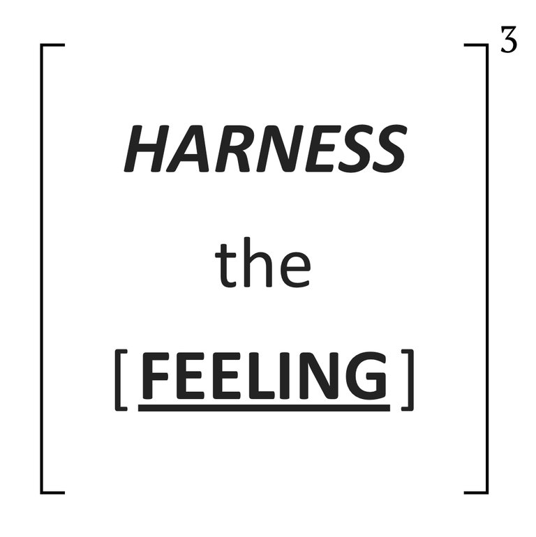 HARNESS [EMOTION].jpg